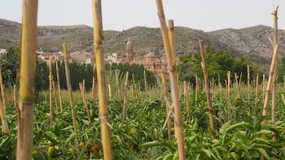 De ahí salen los pimientos