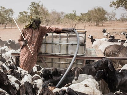 Los fulani de Senegal, acosados además por el coronavirus