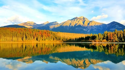 Canadá se puede visitar en cualquier época del año, pero los colores del otoño garantizan la mejor imagen de los bosques de Quebec. En 2017, las reservas a Canadá aumentaron un 6% y Rumbo prevé que esta tendencia al alza se mantenga en 2018.