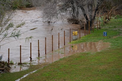 Vista de la desembocadura del río Besòs tras el cierre del Parque Fluvial del Besós por riesgo de inundación, este domingo en Sant Adriá de Besós (Barcelona). 