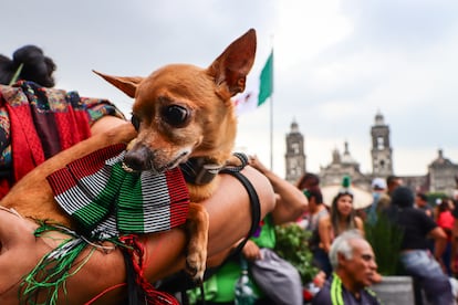 Aspectos de la gente que acude a la 214 conmemoración del Grito de la Independencia.