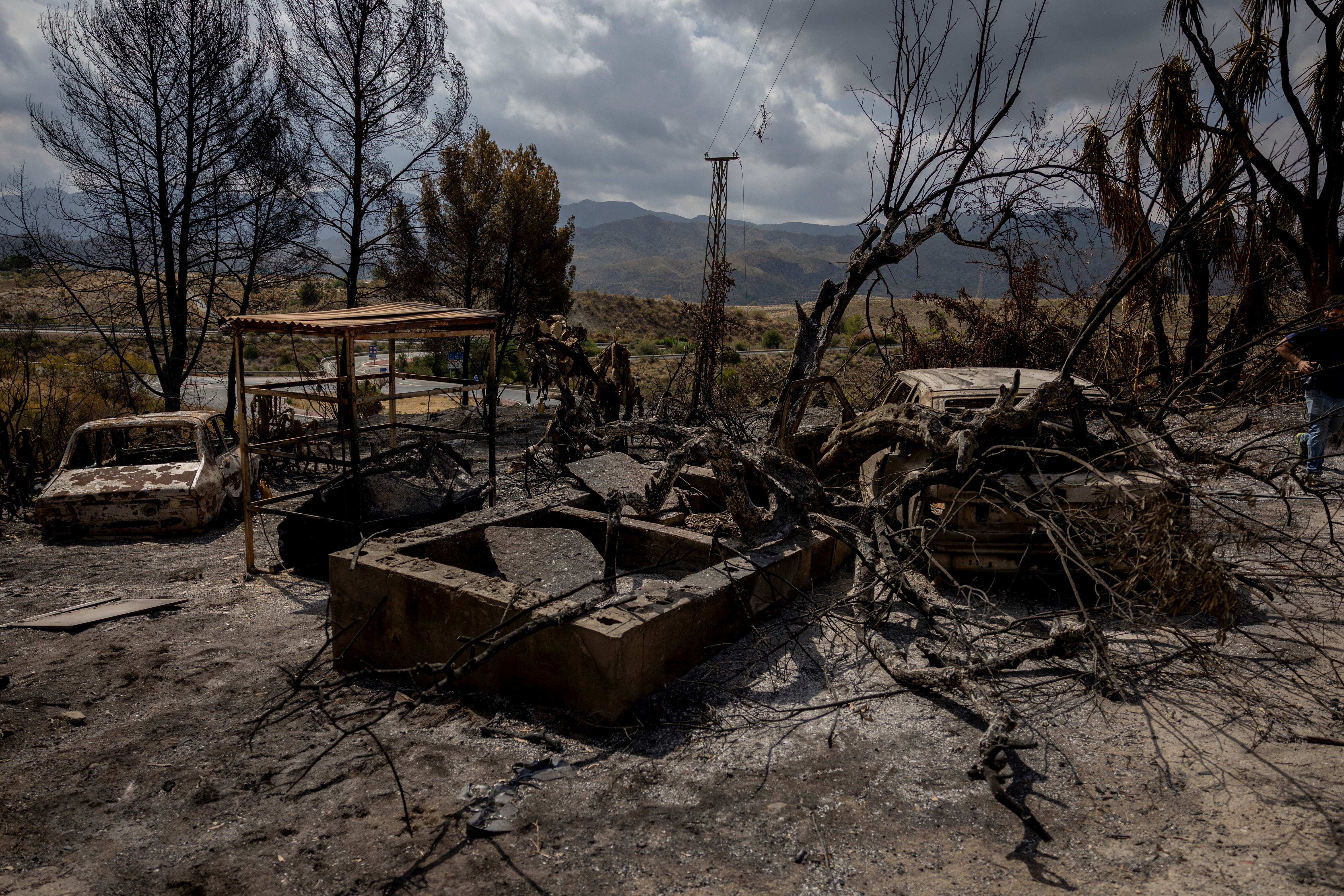 Latest news on the Los Gallardos forest fire (Almería), live | The Junta de Andalucía announces that the fire has been stabilized with 7,000 hectares burned Latest news on the Los Gallardos forest fire (Almería), live | The Junta de Andalucía announces that the fire has been stabilized with 7,000 hectares burned