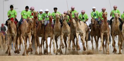 Un momento de la carrera celebrada en el desierto, a 150 kilómetros de Abu Dhabi.