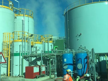 Operarios en la planta de biomasa de Ence, en Puertollano, Ciudad Real.