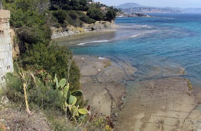 Flora invasora en un acantilado de la comarca de La Marina.