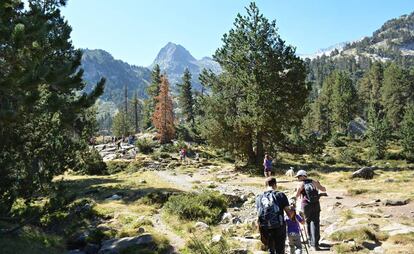 Senderistas en la zona de los Llanos de Benasque, en el Pirineo aragonés.