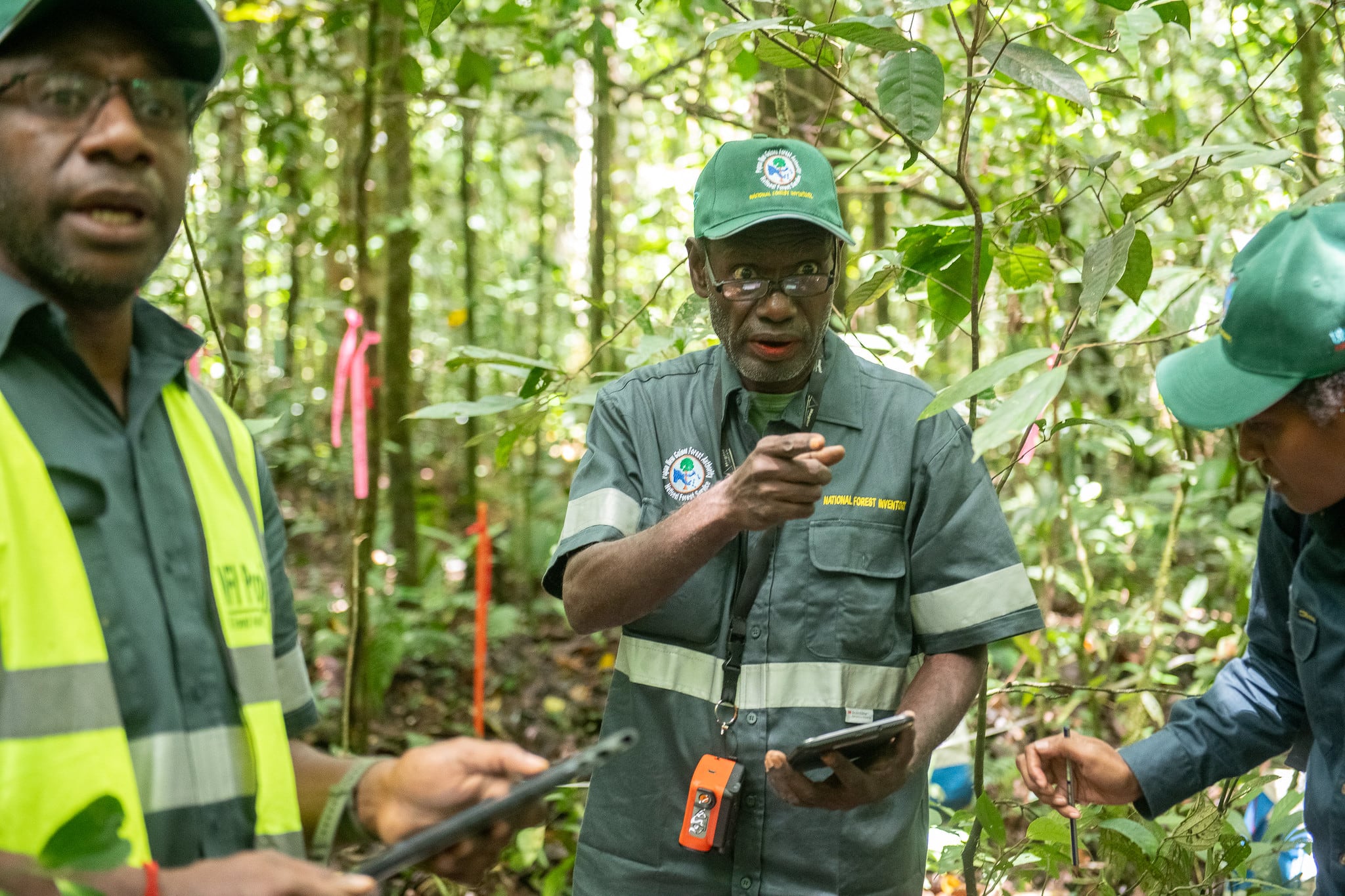 Cómo la innovación forestal protege al planeta 