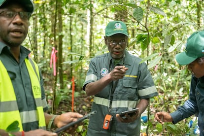 Un equipo de ingenieros desarrolla un proyecto de innovancin para proteger los bosques antiguos en Papa Nueva Guinea.