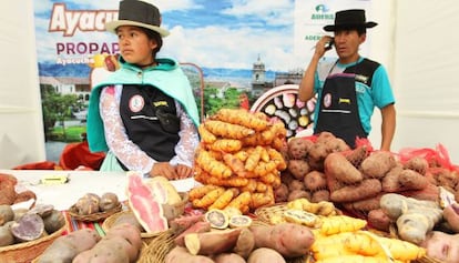 Agricultores andinos no Festival da batata nativa, em Lima.