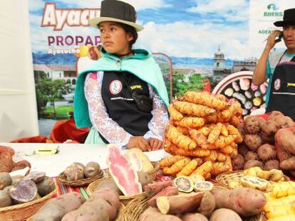 Agricultores andinos no Festival da batata nativa, em Lima.