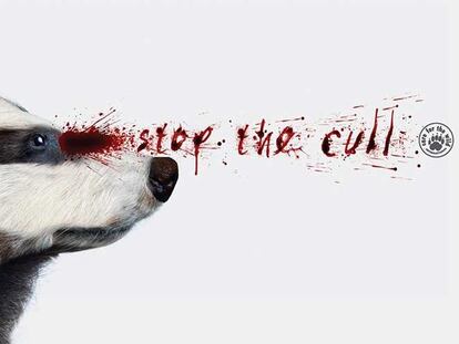 Care for the Wild