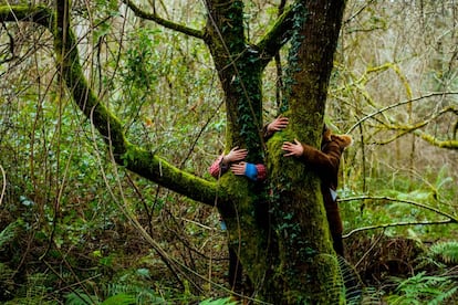 Abrazos forestales durante un baño de bosque en Asturias.