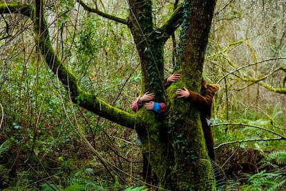 Abrazos forestales durante un ba?o de bosque en Asturias.