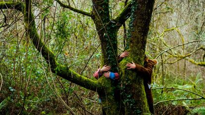 Abrazos forestales durante un baño de bosque en Asturias.