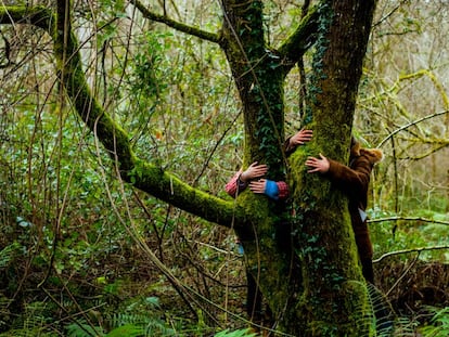 Abrazos forestales durante un baño de bosque en Asturias.