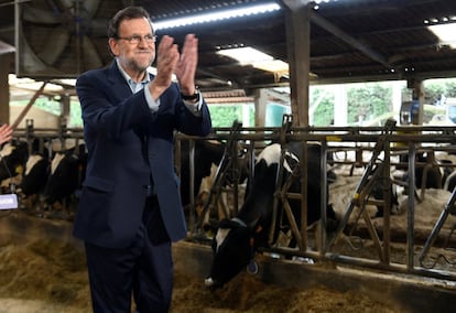 Mariano Rajoy aplaude después de dar un discurso en una granja de productos lácteos en San Martín de Podes, Asturias.