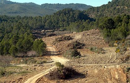 Desmonte cerca del Desert de les Palmes efectuado para la carretera Cabanes-Oropesa.