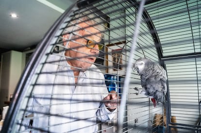 Minguella con su loro, Miguelito. 