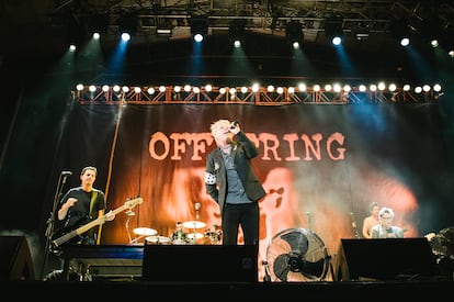 Greg K. and Dexter Holland of The Offspring perform at the Neox Rocks Festival in June 2014 in Madrid.