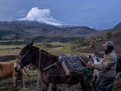 Habitantes de la cumbre del Nevado del Ruiz, el 26 de abril de 2023.