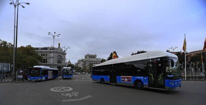 Autobuses públicos de la ciudad de Madrid en la rotonda de Cibeles.