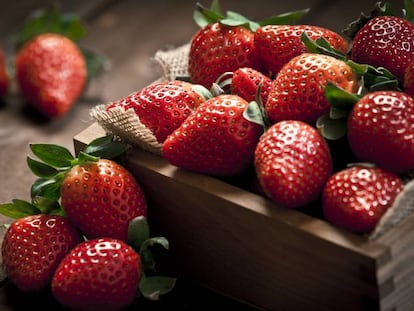 Esto es lo que dura la temporada de las fresas cultivadas en España