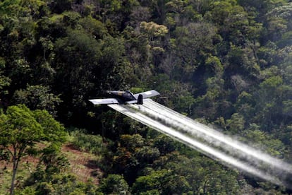 Fumigación con glifosato en Colombia, en una imagen de archivo.