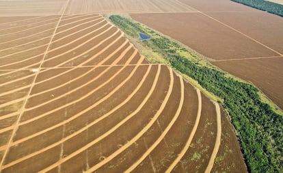 Campos de cultivo en Mato Grosso, Brasil.