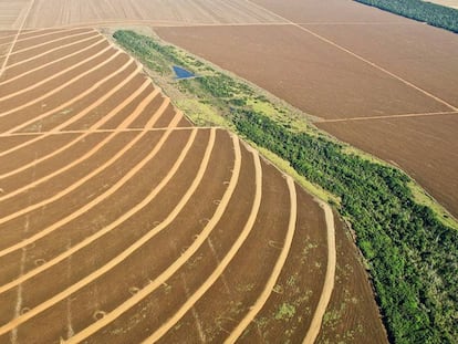 Campos de cultivo em Mato Grosso, Brasil.