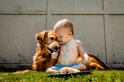 Toddler milks