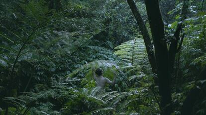 Fotograma de la obra 'Pteridophilia', 2016, de Zheng Bo.