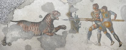 A mosaic preserved in Istanbul portrays two gladiators fighting a tiger.