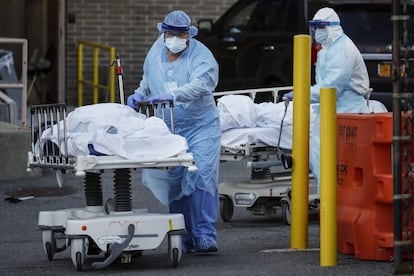 Sanitarios equipados con trajes de protección transportan los cadáveres de víctimas de la Covid 19 del hospital de Wyckoff, en Brooklin, Nueva York, a un contenedor refrigerado ubicado en una zona exterior del edificio.