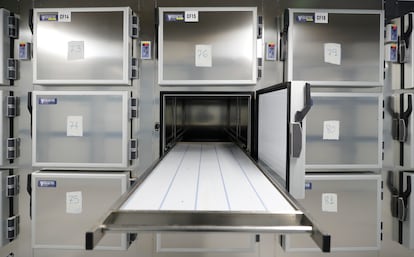 Cámaras funerarias en el edificio conocido como El Dónut, la nueva morgue provisional en las instalaciones de la Ciudad de la Justicia.