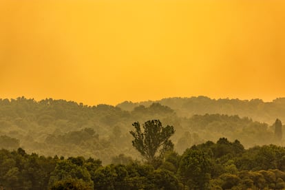 El bosque envuelto en una densa nube de humo y ceniza junto al Lago de Sanabria.