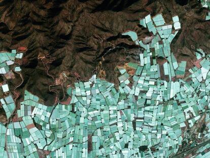 Agro 4.0: más producción en menos terreno en Almería