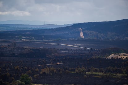 Zona afectada por el incendio forestal.
