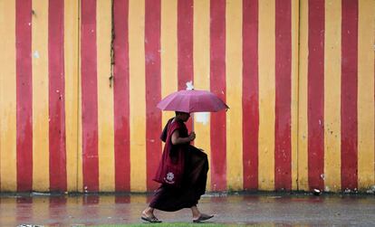 Un monje budista camina bajo la lluvia en Colombo (Sri Lanka) 