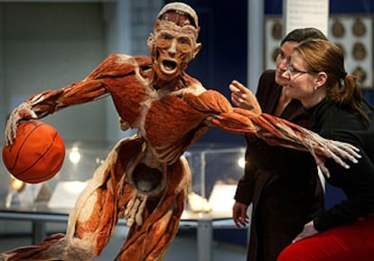 Dos mujeres observan una obra de Von Hagens en una exposición abierta este mes en Francfort.