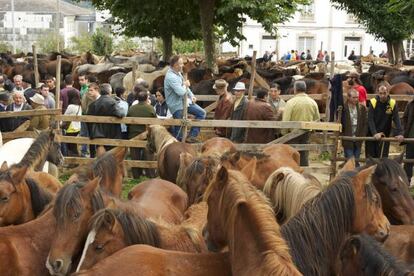 Feria caballar en la fiesta de As San Lucas de Mondoñedo