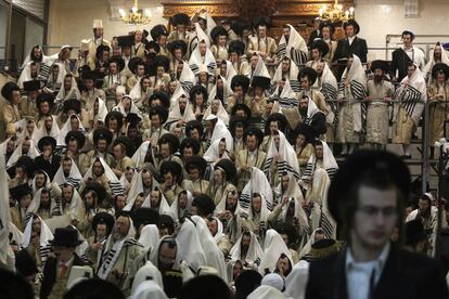 Durante la celebración se lee la Meguilá ('Libro de Ester') a gran velocidad y los niños deben hacer ruido cuando se menciona el nombre de Amán, para que no sea borrado. En la imagen, un gran grupo de judíos ultraortodoxos leen el 'Libro de Ester' en la sinagoga del barrio Mea Shearim.