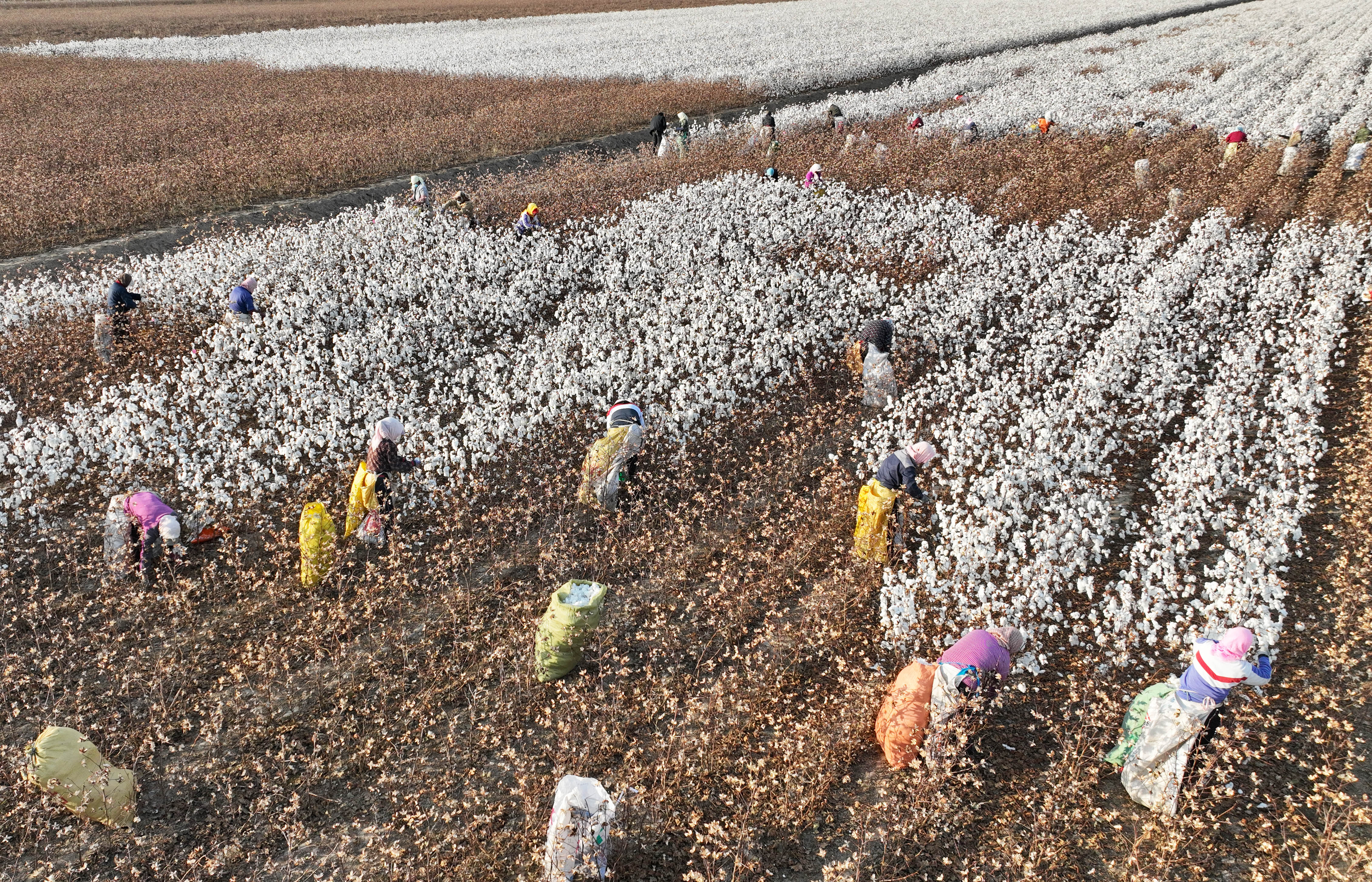 Cumbre de Riad: la degradación de las tierras amplía los riesgos para las empresas