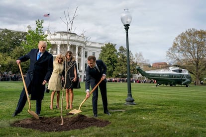 Trump y Macron plantan un roble en los jardines de la Casa Blanca.