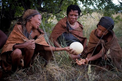 Quoqkwa, Gakebagape y Tata se lavan las manos. Obtienen el jabón de una raíz específica y el agua la almacenan en un huevo de avestruz.