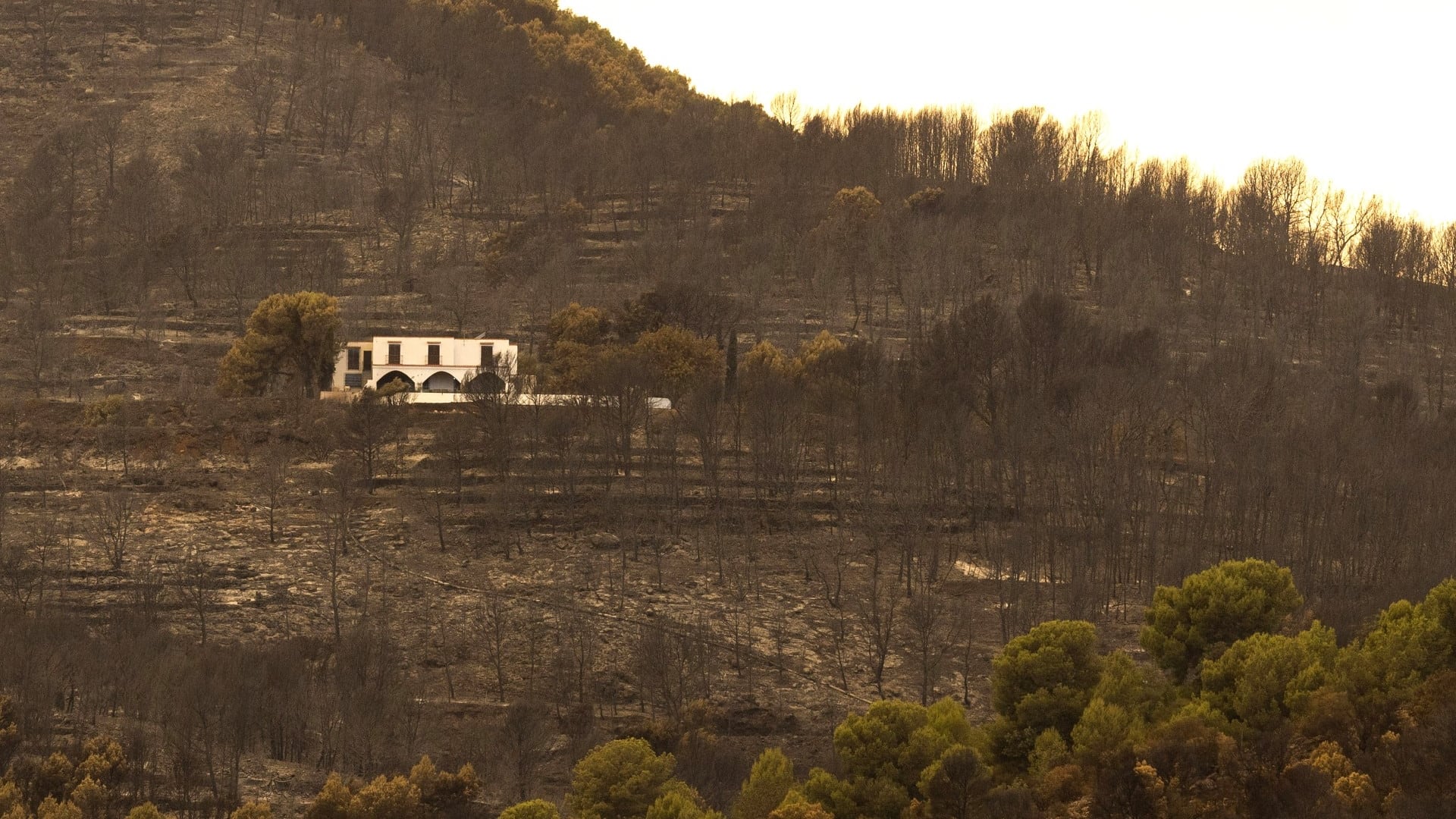 12 municipios evacuados por el incendio de La Vall d’Uixó forman parte del parque natural de Sierra de Espadán, el pulmón verde de Castellón