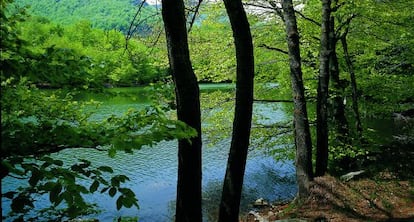 Parque natural de Montseny (Barcelona).