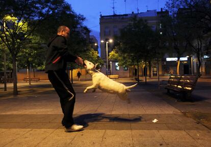Un joven juega con su bull terrier en la plaza donde asesinaron a Jorge Luis.