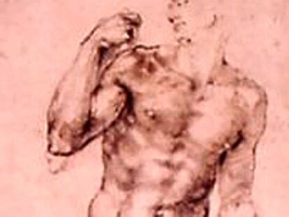 Fragmento de <i>Hombre desnudo de pie</i>, de Miguel Ángel.