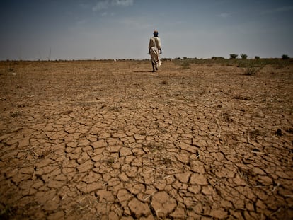No hay rebajas para el precio global de los alimentos