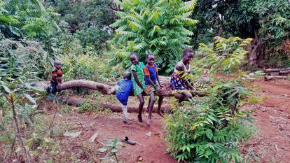  Unos niños juegan sobre un árbol talado en Katire, Sudán del Sur, el 1 de enero de 2019.